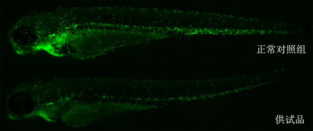 1758093748166464.jpg 17-2.jpg