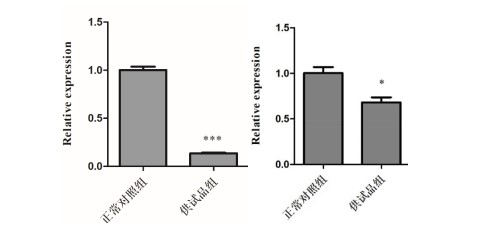 1758093763206591.jpg 17-4.jpg