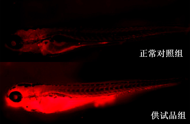 1758094646128783.jpg 14-2.jpg