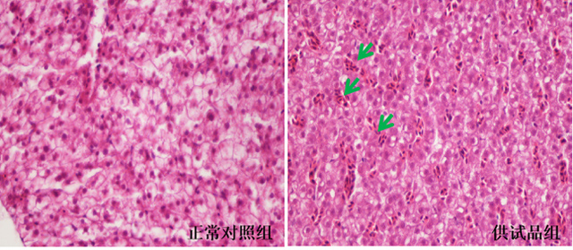 1758094793988835.jpg 12-2.jpg