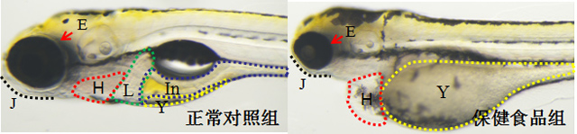 1758096411107996.jpg 4-2.jpg