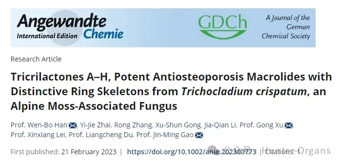 1760519919417880.jpg 0.jpg