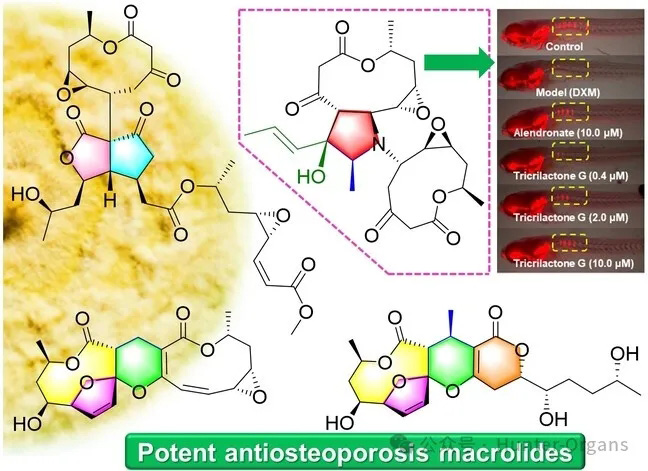 1760519924346489.jpg 1.jpg