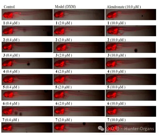 1760519929143581.jpg 2.jpg