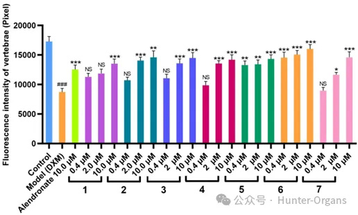 1760519934200702.jpg 3.jpg