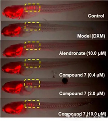 1760519938404497.jpg 4.jpg