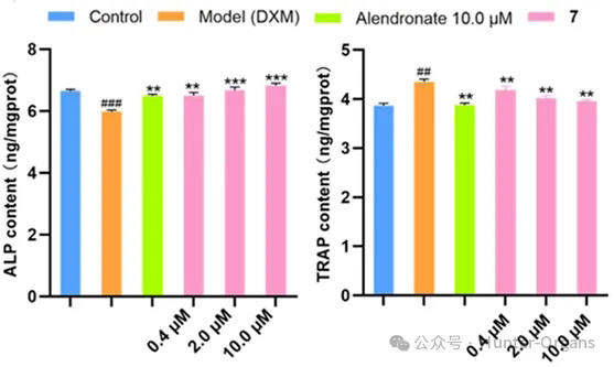 1760519942162282.jpg 5.jpg