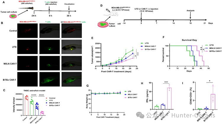 1761631071399259.jpg 2.jpg