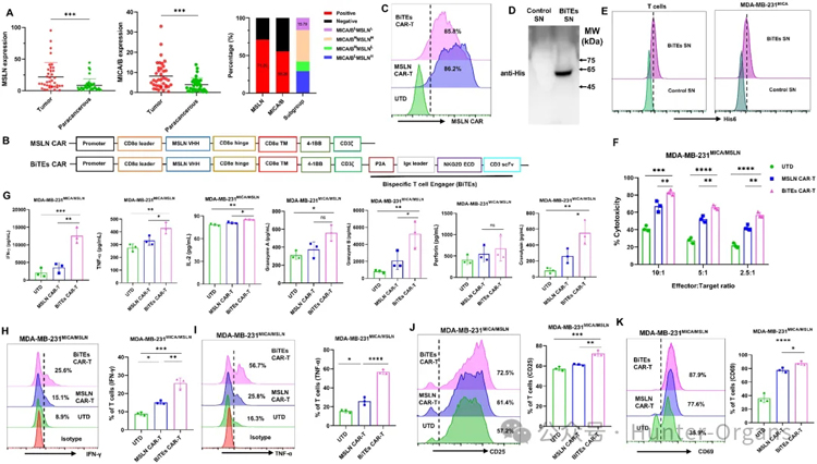 1761631074104862.jpg 1.jpg