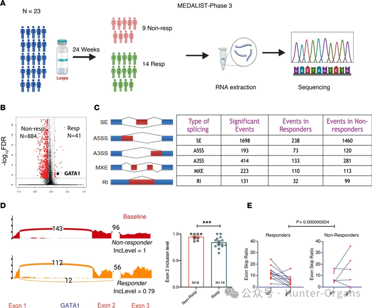 1764125697594823.jpg 5.jpg