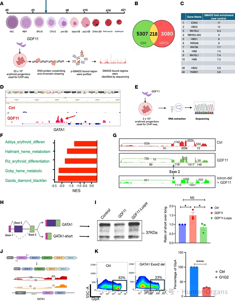 1764125705196421.jpg 3.jpg