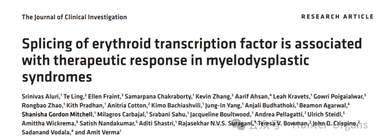 1764125717200648.jpg 0.jpg