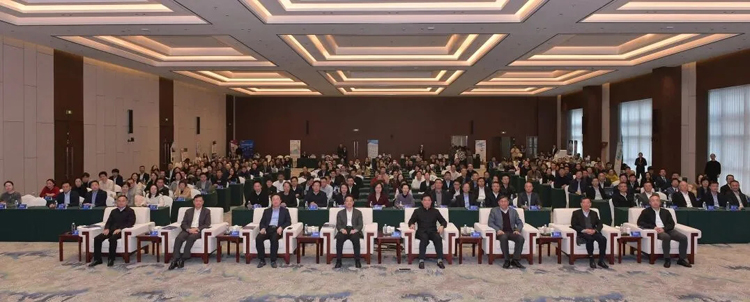 1764125959106830.jpg 3.jpg