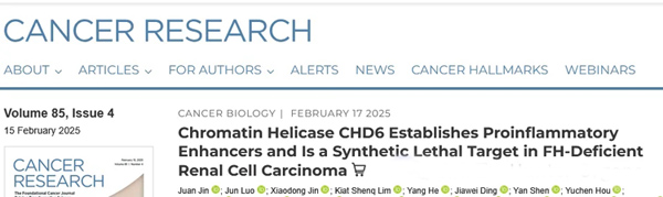 IF=12.5丨Cancer Res.：斑马鱼PDX+类器官揭示CHD6是FH缺陷型肾细胞癌的潜在药物靶点！