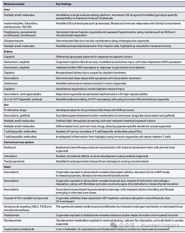 1765360638127777.jpg 3.jpg