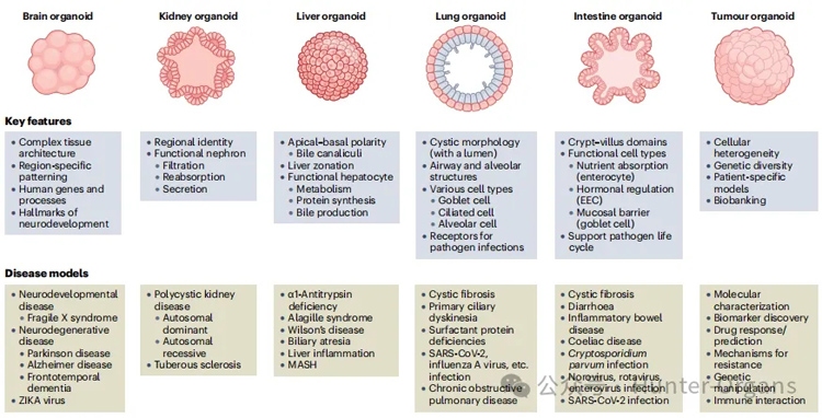 1765360646936531.jpg 2.jpg