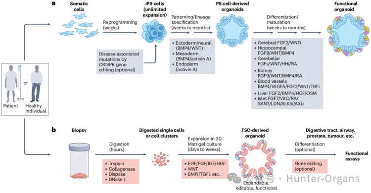 1765360650197704.jpg 1.jpg
