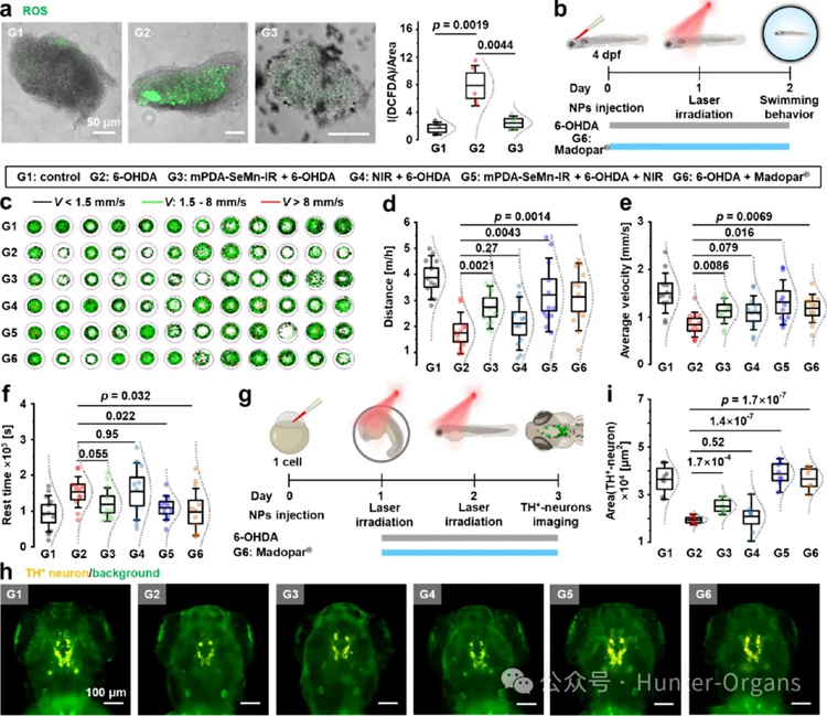 1766996753527114.jpg 7.jpg