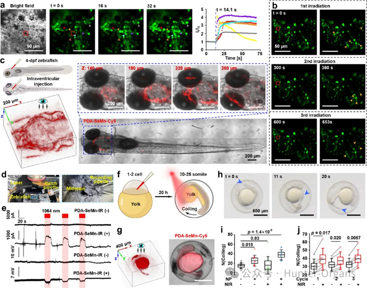 1766996757394241.jpg 6.jpg