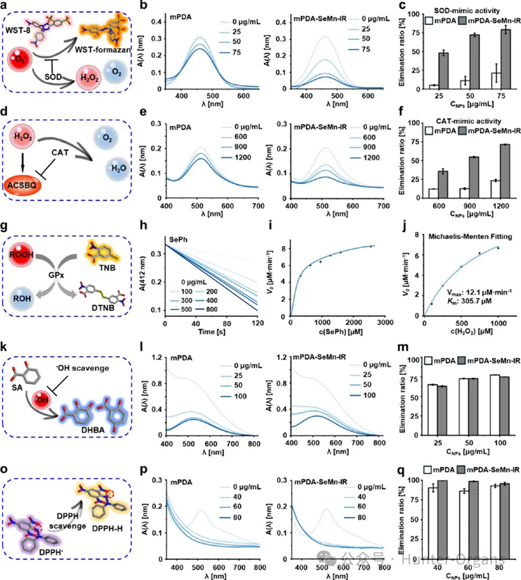 1766996767189769.jpg 3.jpg