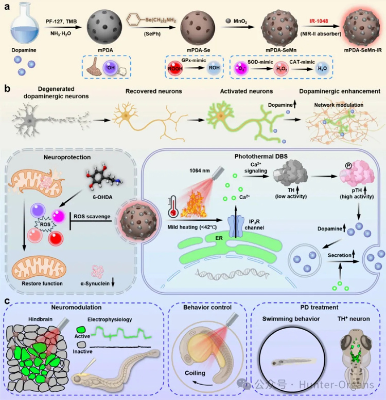 1766996775623808.jpg 1.jpg