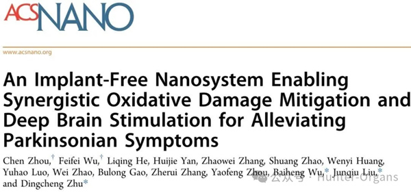 IF＝15.4丨ACS Nano: 斑马鱼揭示无植入纳米颗粒通过协同减轻氧化损伤与深脑刺激，缓解帕金森症状