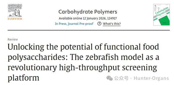 IF＝12.5丨斑马鱼在功能性食品多糖（FFPs）研究中的应用进展