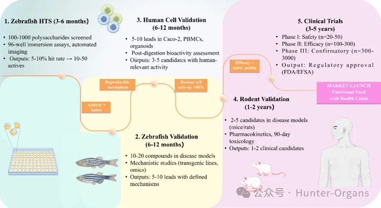 1768989518116980.jpg 8.jpg