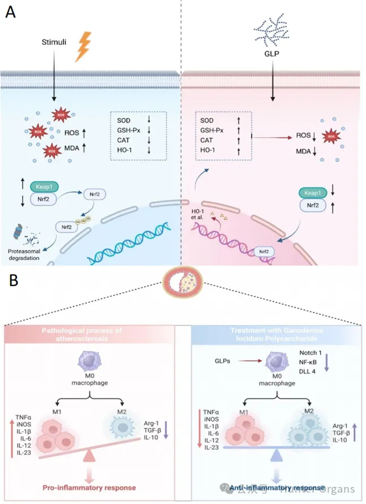 1768989522101303.jpg 7.jpg