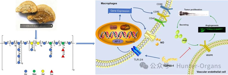 1768989526172898.jpg 6.jpg