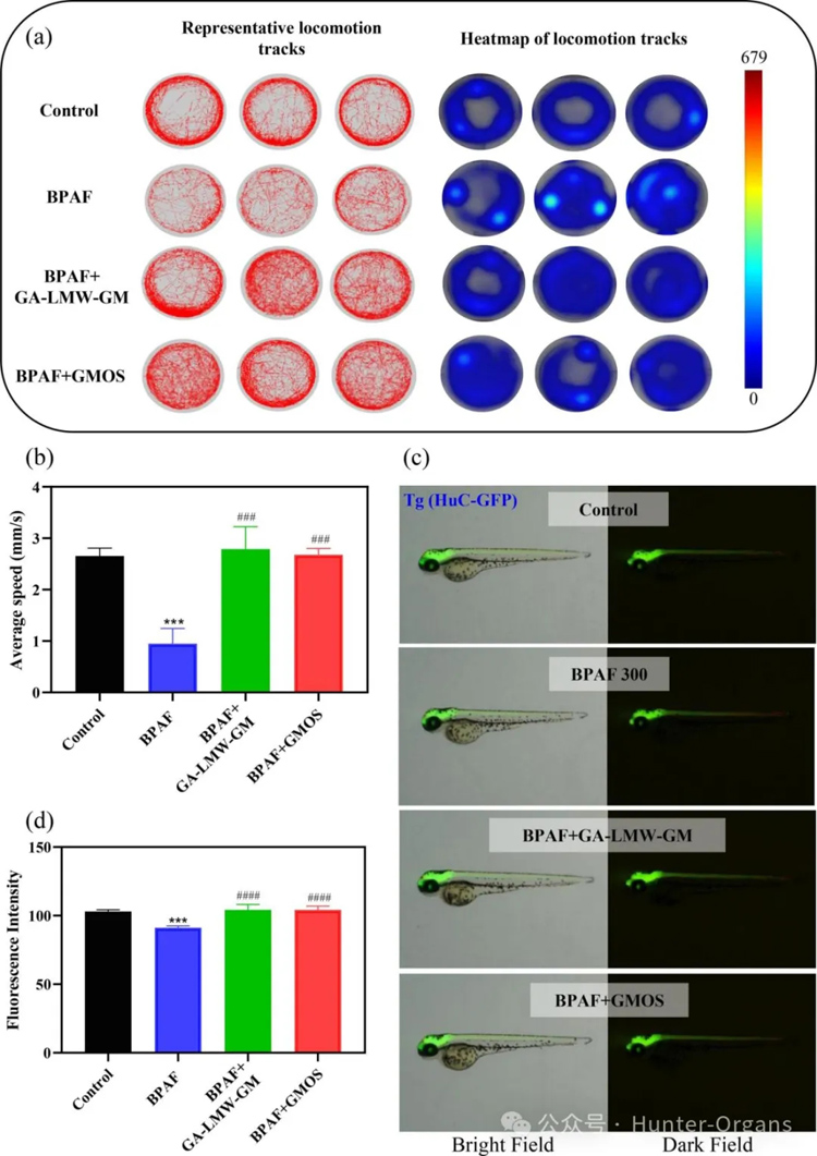 1768989529546875.jpg 5.jpg