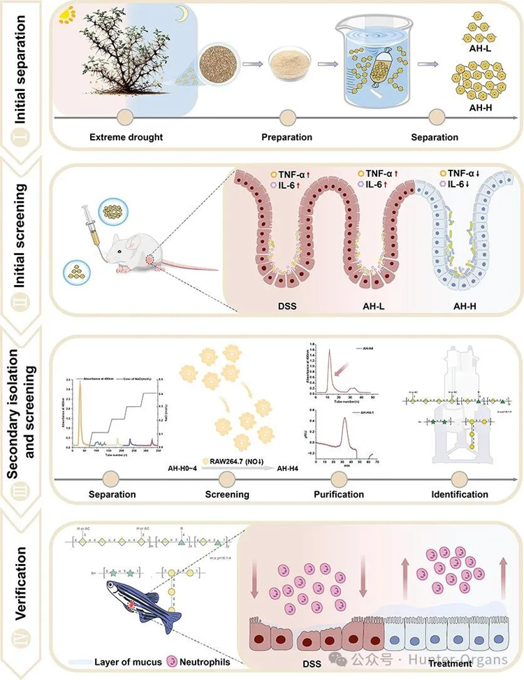 1768989533768592.jpg 4.jpg