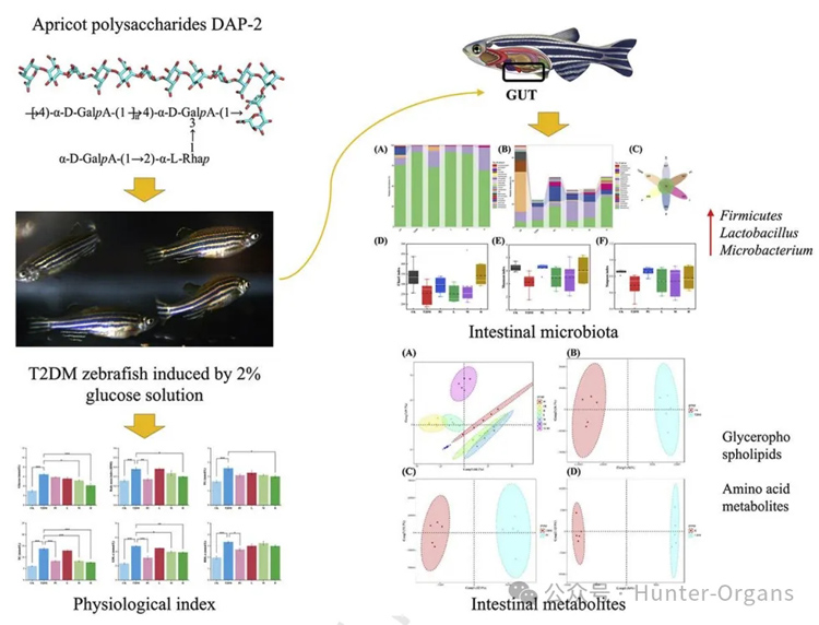 1768989536120250.jpg 3.jpg