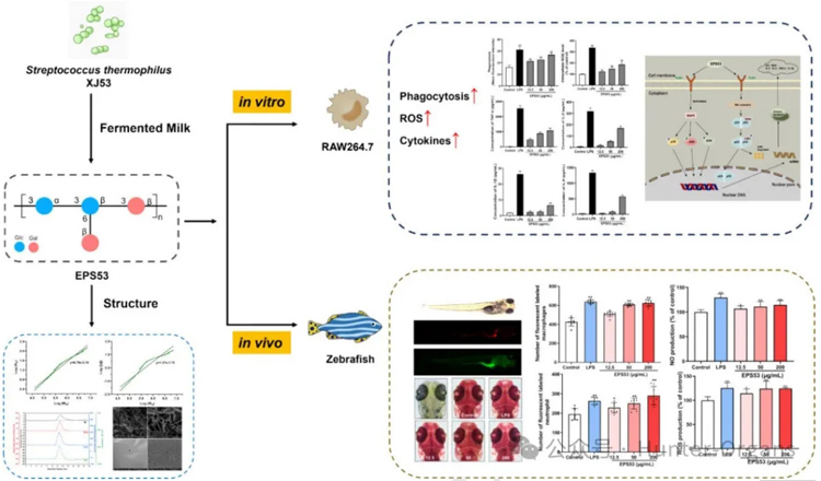 1768989540969470.jpg 2.jpg