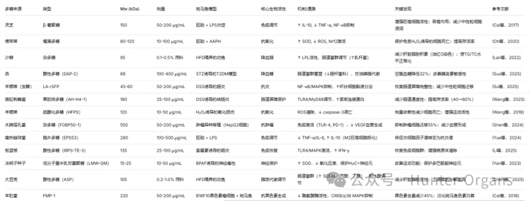 1768989579170033.jpg 12.webp.jpg