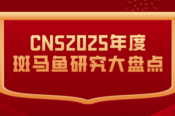 CNS年度大盘点丨 2025年这些斑马鱼研究突破，正引领科学研究新浪潮！