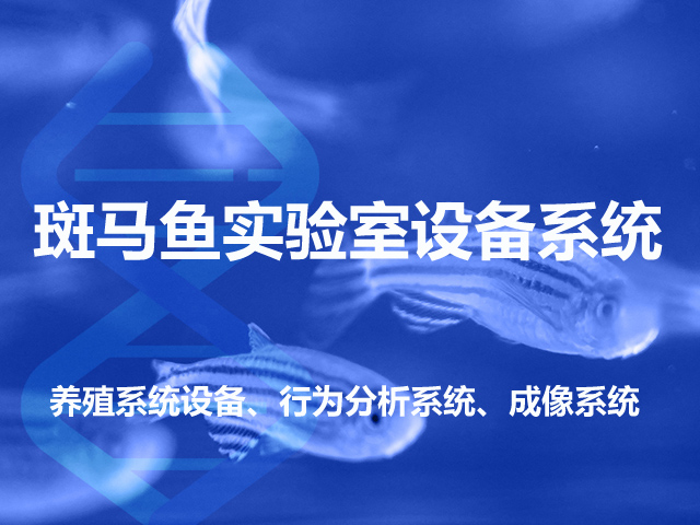 斑马鱼水质急性毒性监测能力建设服务方案/ 新国标HJ1455标准