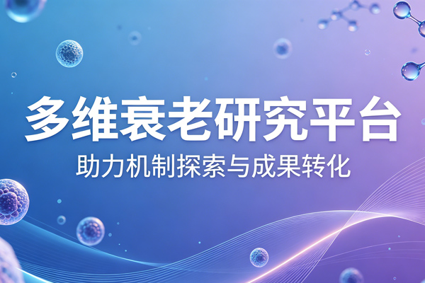 高影响因子斑马鱼抗衰研究进展——多维衰老研究平台，助力机制探索与成果转化