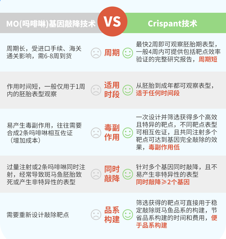 斑马鱼基因敲降的技术特点